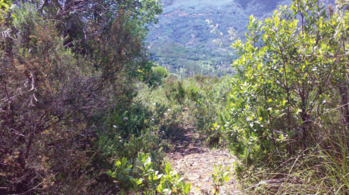 02C Sentiero Lustra